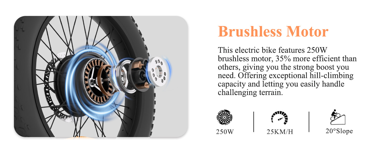 Diagramm eines bürstenlosen 250W-Elektrofahrradmotors mit Erklärungen und Spezifikationen.