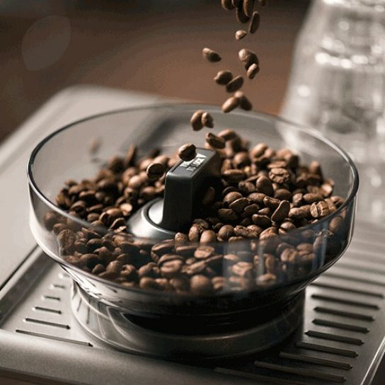 Kaffeebohnen fallen in den Behälter einer Kaffeemühle.