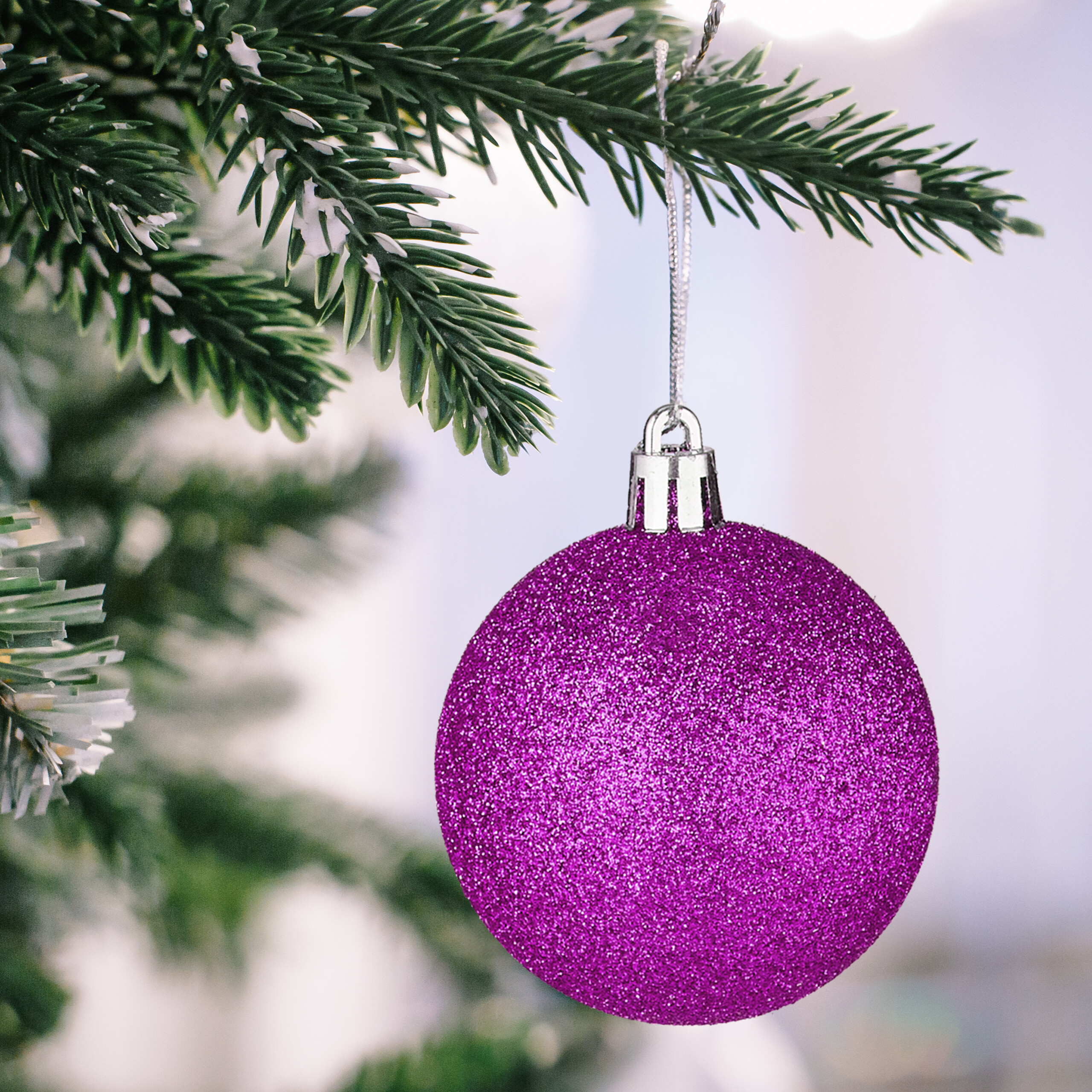 Eine glitzernde lila Weihnachtskugel hängt an einem schneebedeckten grünen Tannenzweig.