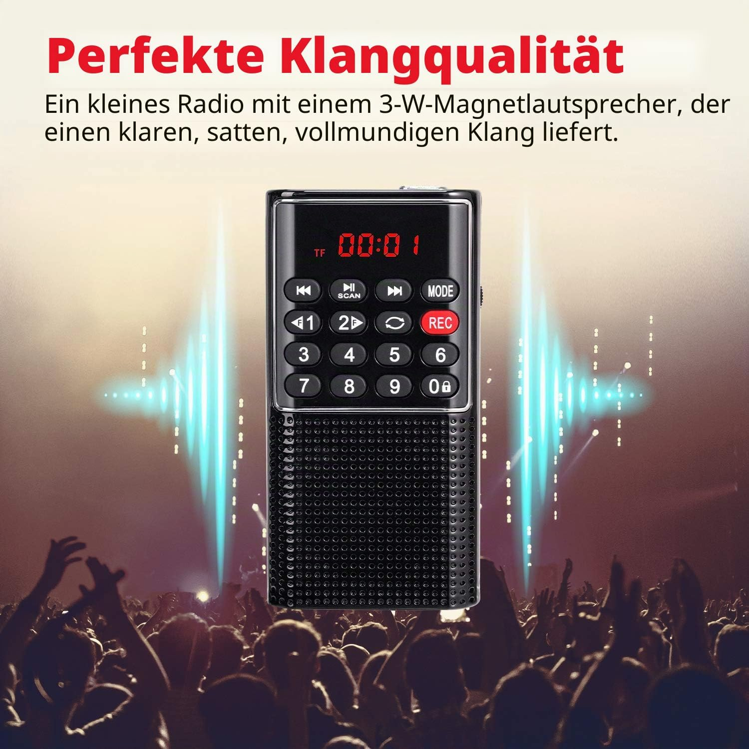 ALLGOODSBRAND FM/UKW, tragbar, Audioeingang Radio, AM, FM, Schwarz
