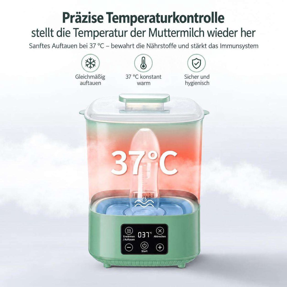 Grüner Flaschenwärmer mit digitalem Display und 37 Grad Celsius Anzeige beim Erwärmen einer Babyflasche.