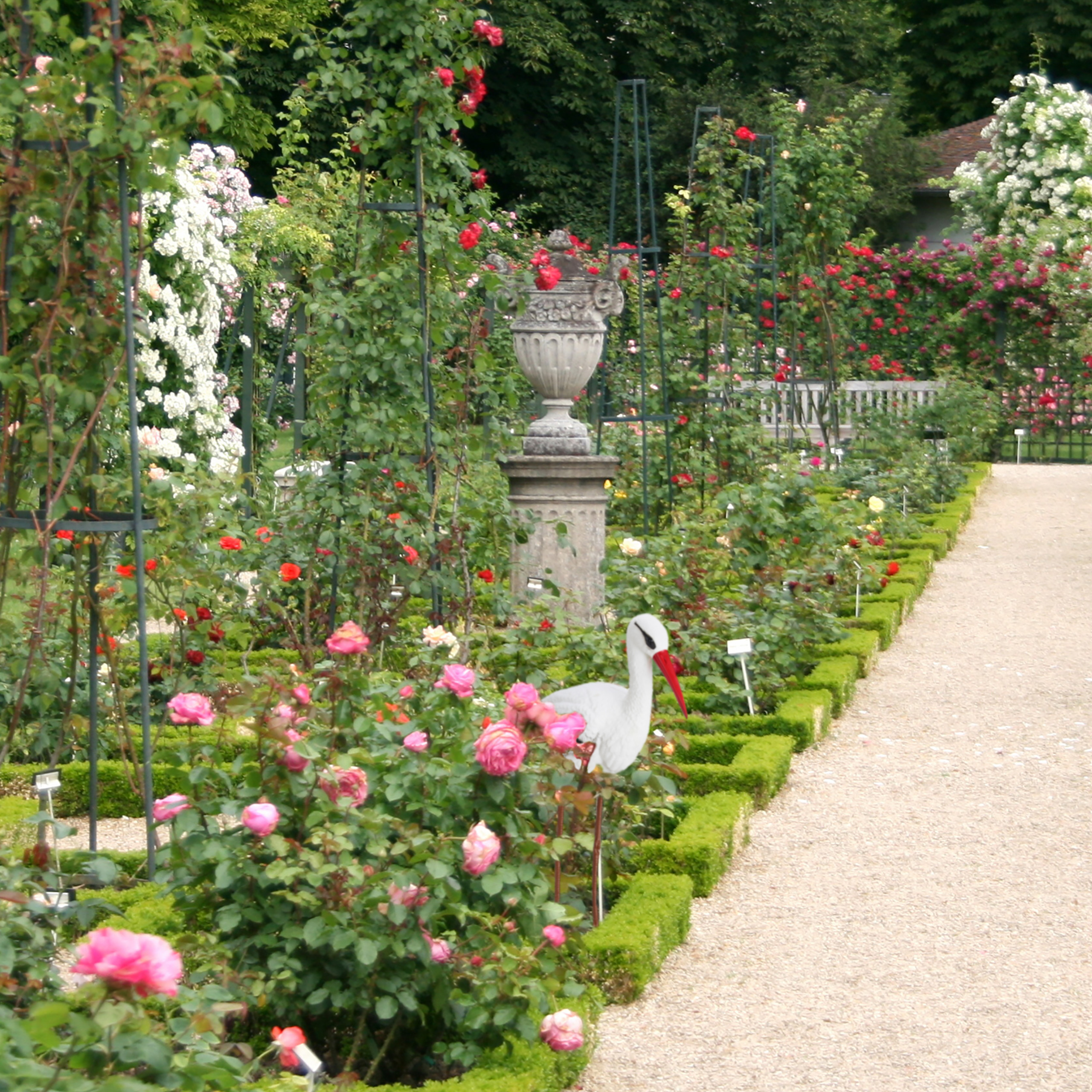 Ein üppiger Rosengarten mit einer Vogelstatue und einem Kiesweg.