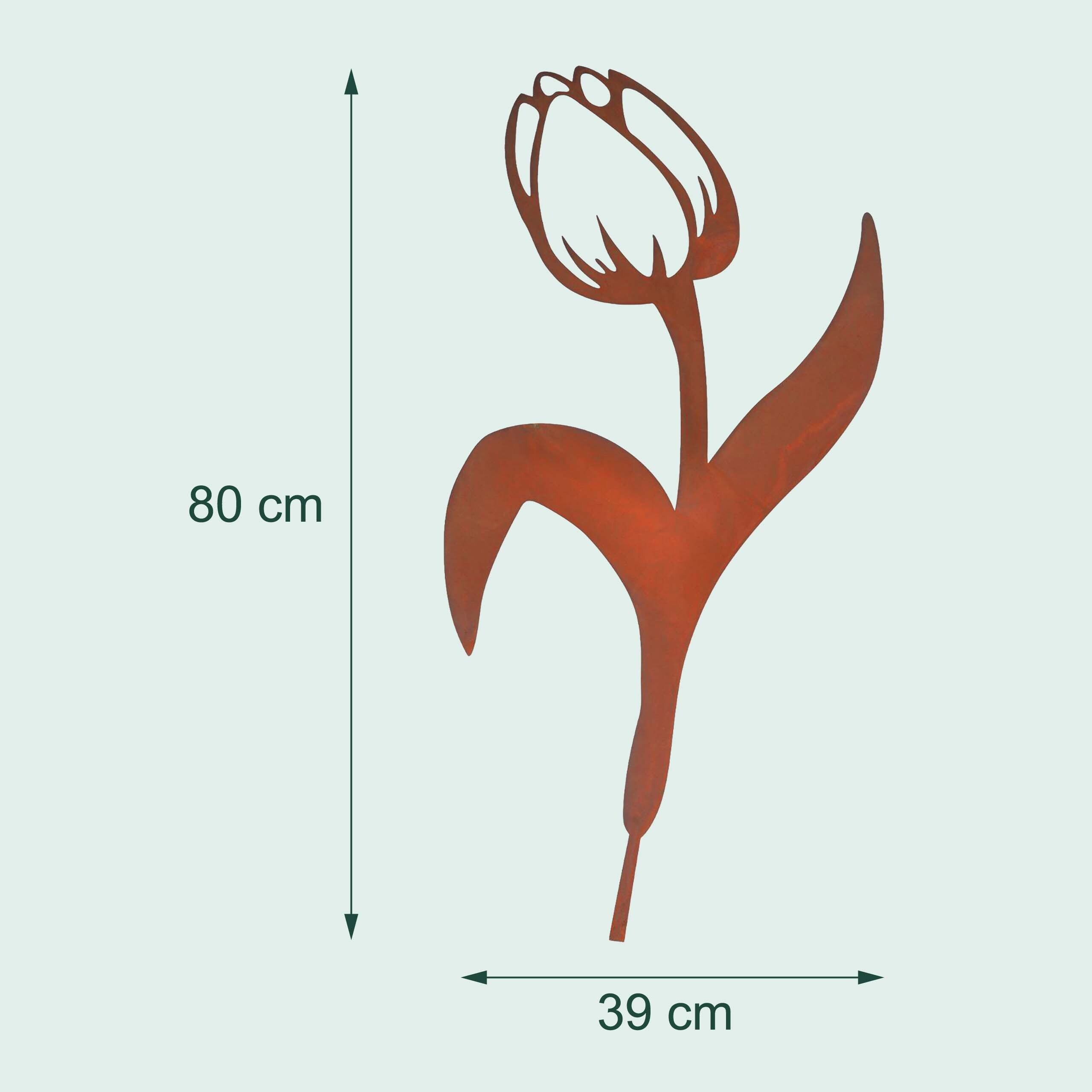 Rostfarbene Tulpe aus Metall mit Maßangaben von 80 cm Höhe und 39 cm Breite.