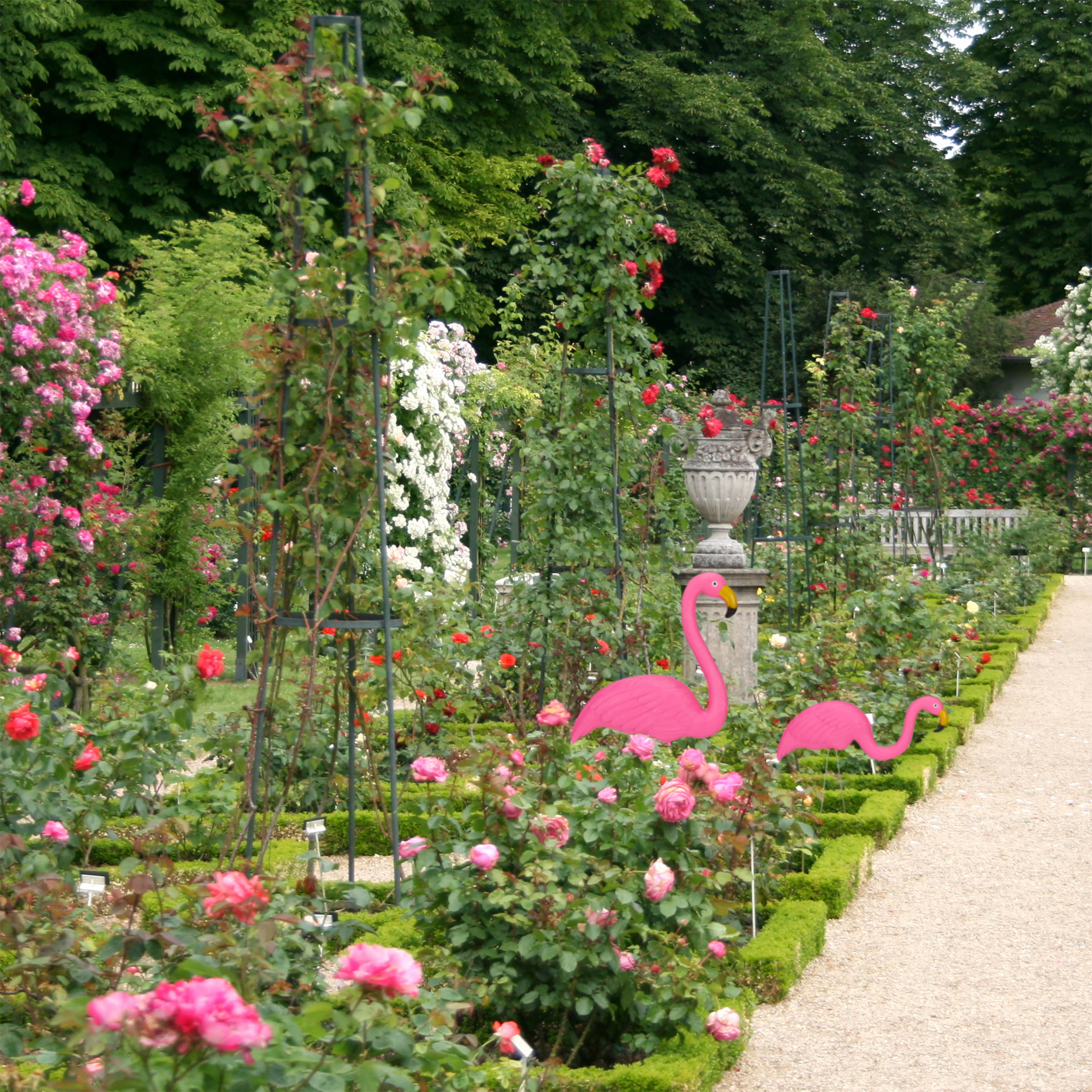 Zwei rosa Flamingos stehen in einem Garten voller blühender Rosen und Sträucher neben einem Kiesweg.