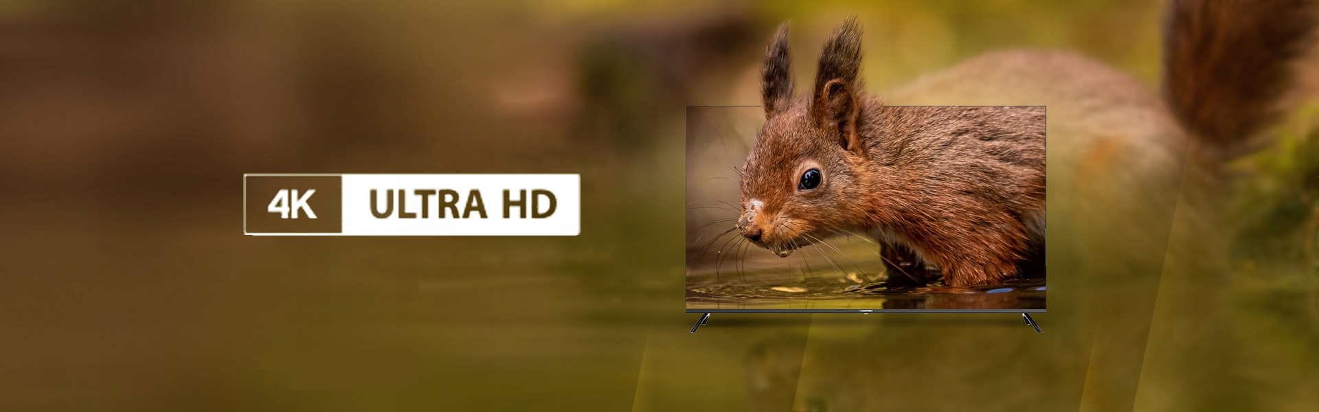 Telewizor wyświetla wiewiórkę pijącą wodę. Po lewej stronie widoczne jest logo 4K Ultra HD.