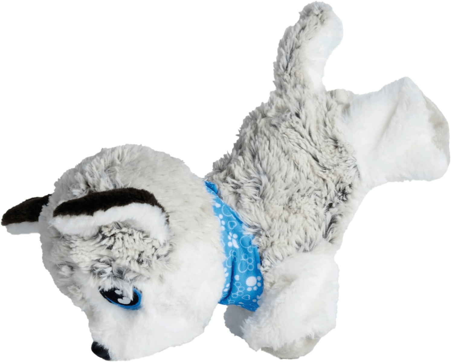 Ein flauschiger, grau-weißer Plüschhund mit blauen Augen und blauem Bandana auf weißem Hintergrund.
