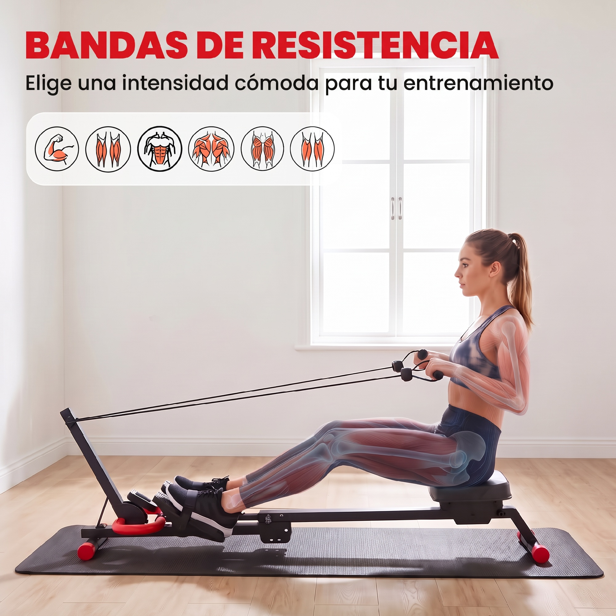 Una mujer hace ejercicio en una máquina de remo en una habitación luminosa, con gráficos de anatomía muscular.