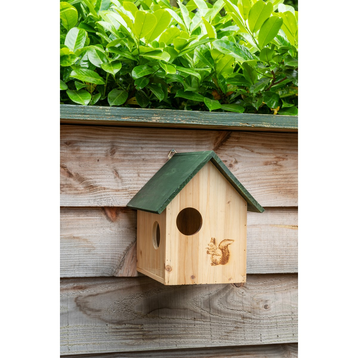 Ein hölzernes Vogelhaus mit grünem Dach und Eichhörnchen-Gravur hängt an einer Holzwand unter grünen Blättern.