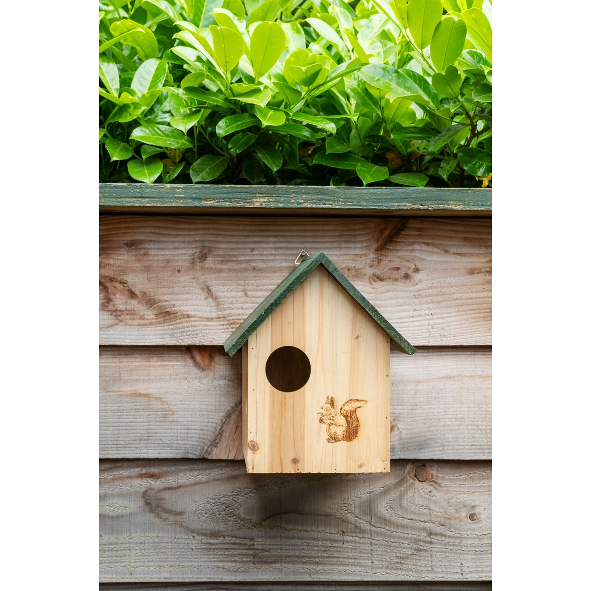 Ein hölzernes Vogelhaus mit einem runden Eingang und einem Eichhörnchen-Symbol hängt an einer Holzwand unter grünem Laub.