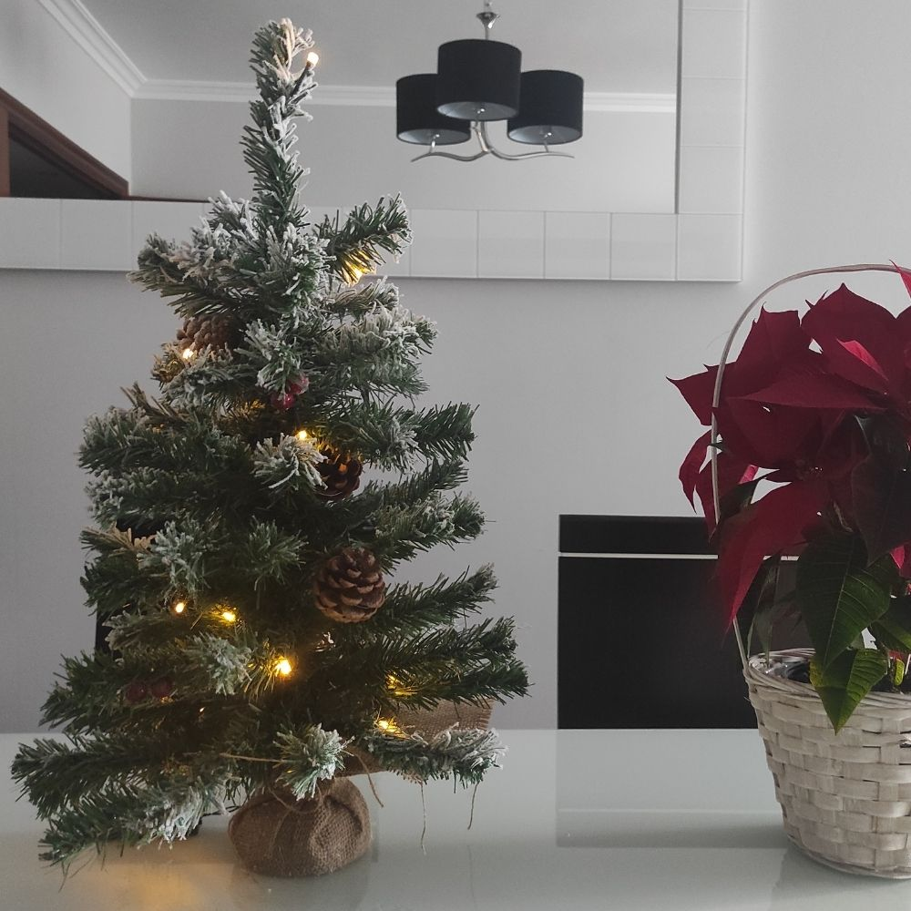 Un pequeño árbol de Navidad decorado y una flor de pascua roja en una cesta blanca sobre una mesa.