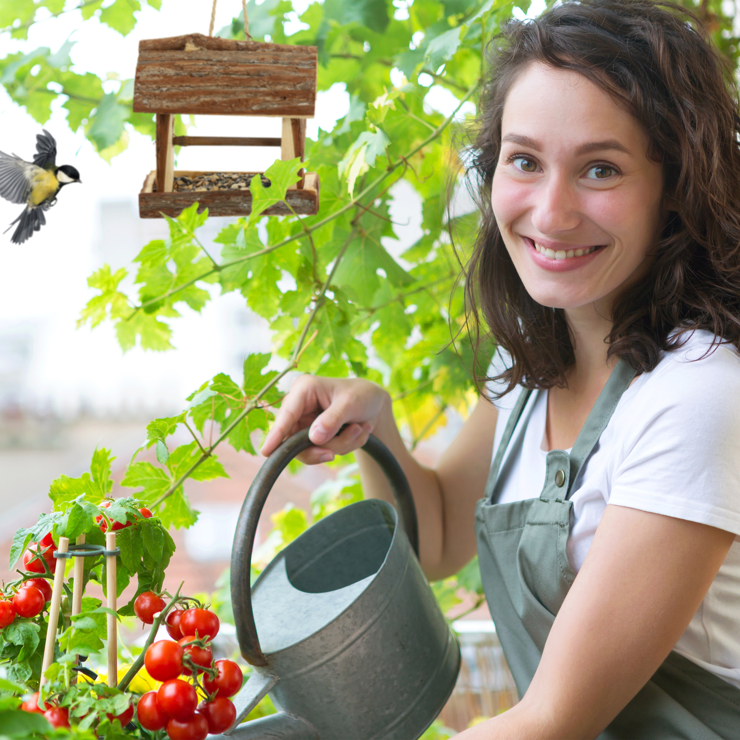 Lächelnte Frau in Schürze gießt Tomaten, während ein Vogel an einem Futterhäuschen fliegt.