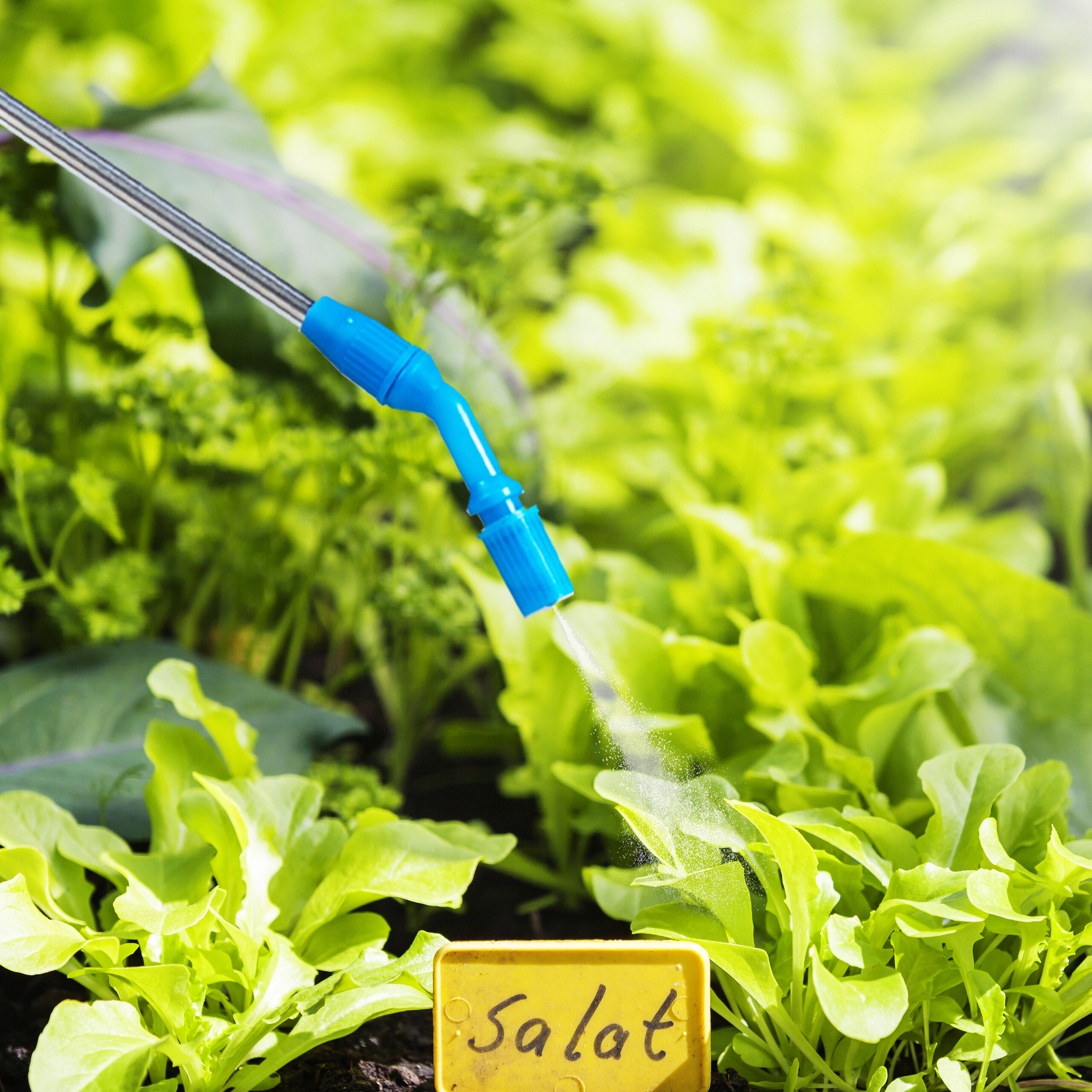 RELAXDAYS Pflanzenspritze Gartenbewässerung