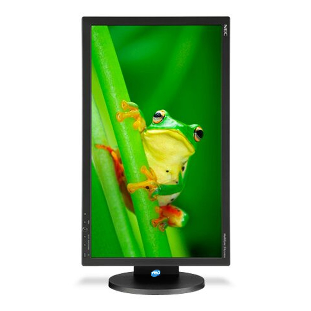 Un monitor di computer nero mostra l'immagine di una rana verde che si arrampica su un ramo verde.