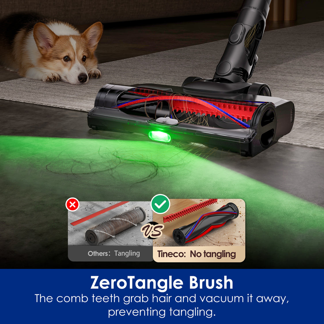 Een Tineco-stofzuiger verlicht haar op de vloer terwijl een Corgi toekijkt.