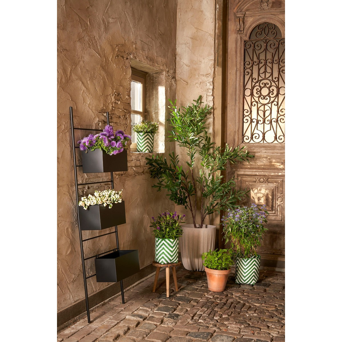 Une cour pavée avec des plantes vertes en pots, un porte-plante en métal noir et une porte en bois rustique.