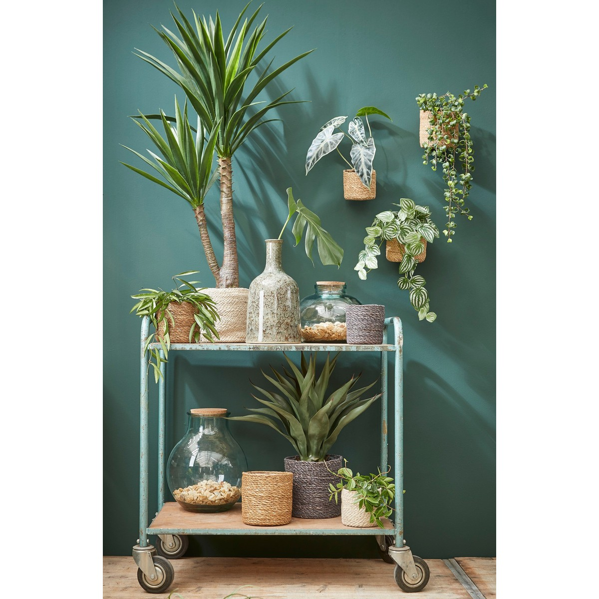 Chariot en métal vert avec diverses plantes d'intérieur et vases en verre sur fond sombre.