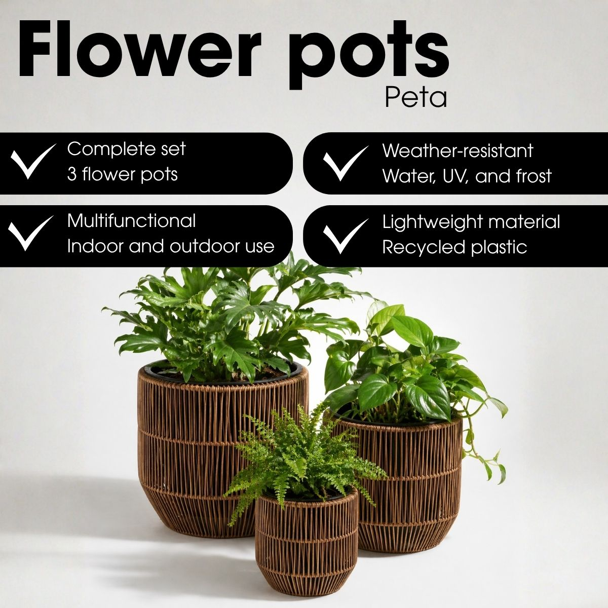 Trois pots en rotin marron avec des plantes vertes sur fond blanc, avec du texte et des encadrés.