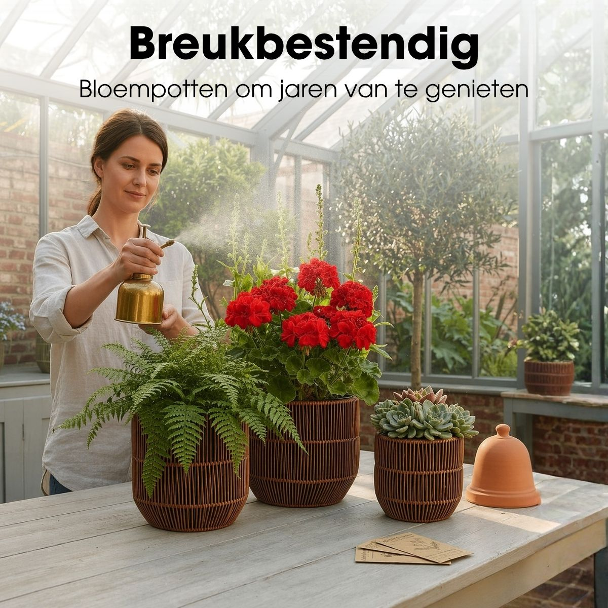 Femme vaporise de l'eau sur des fleurs rouges en pots sur une table en bois dans une serre.