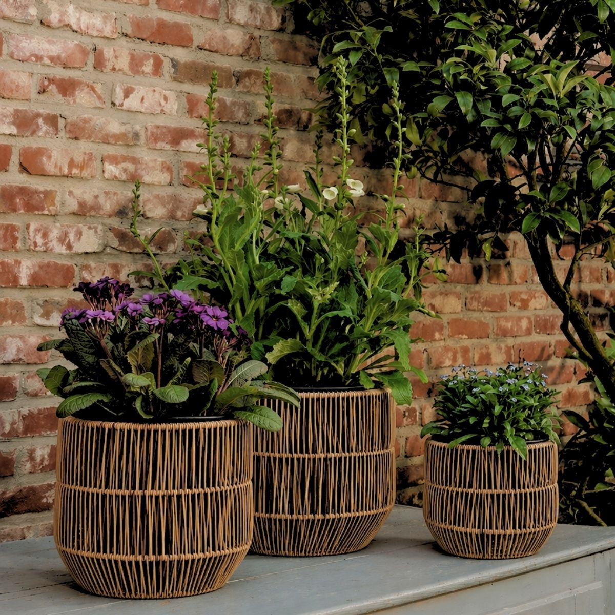 Trois pots en rotin avec des fleurs violettes, blanches et bleues devant un mur de briques rouges.