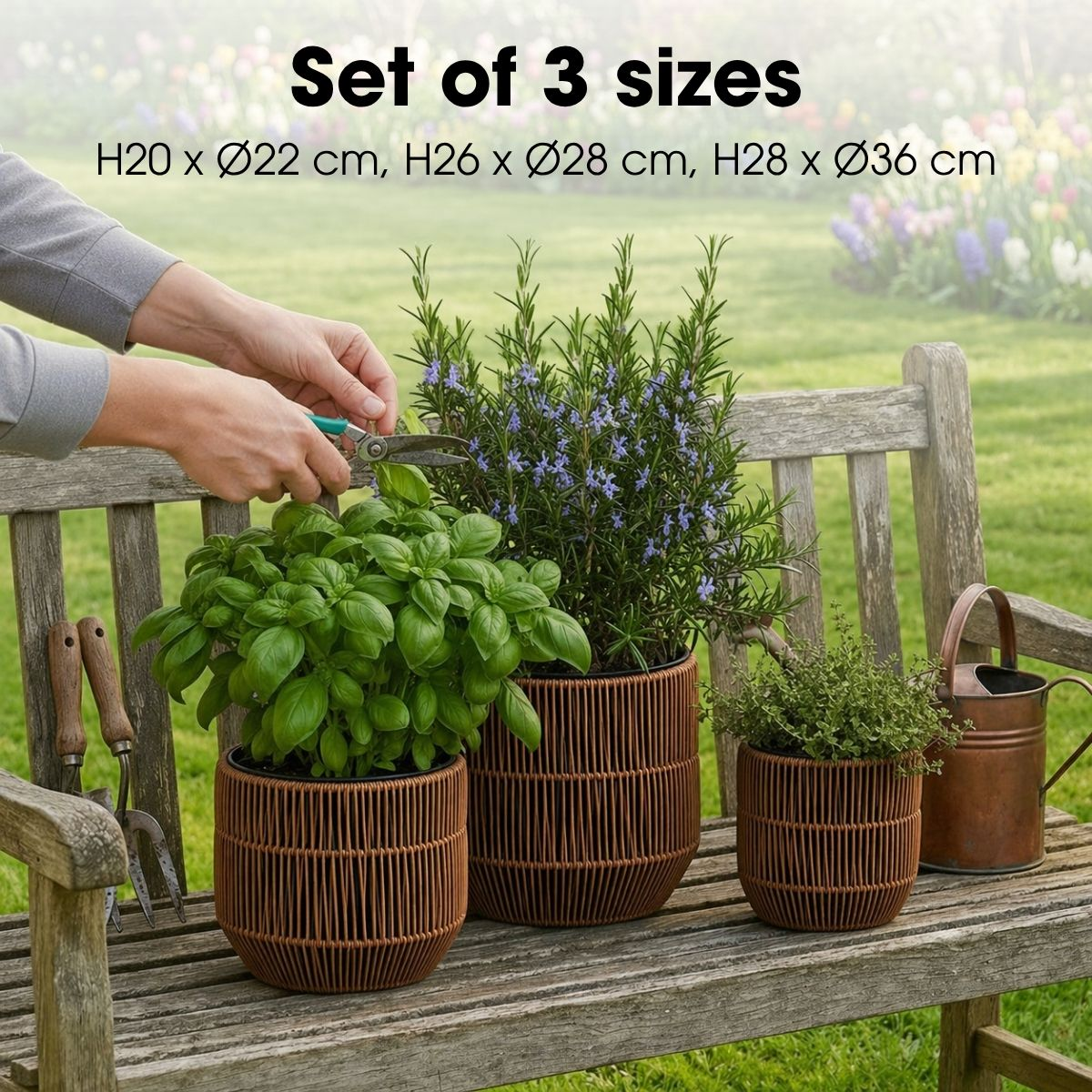 Trois pots de fleurs bruns de tailles différentes sur un banc en bois avec des herbes fraîches.