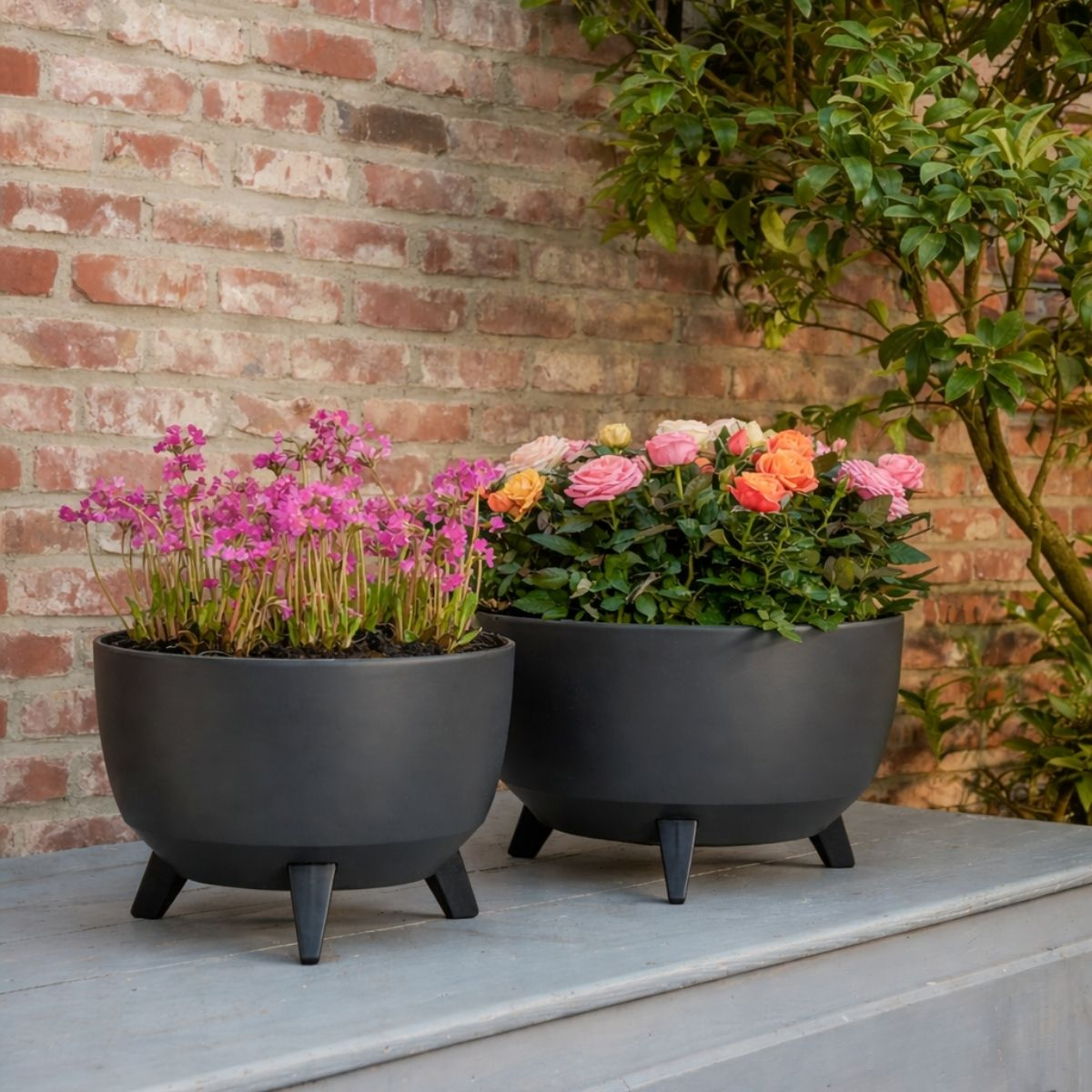Deux bacs sombres avec des fleurs roses et des roses colorées reposent sur une surface en bois devant un mur de briques.