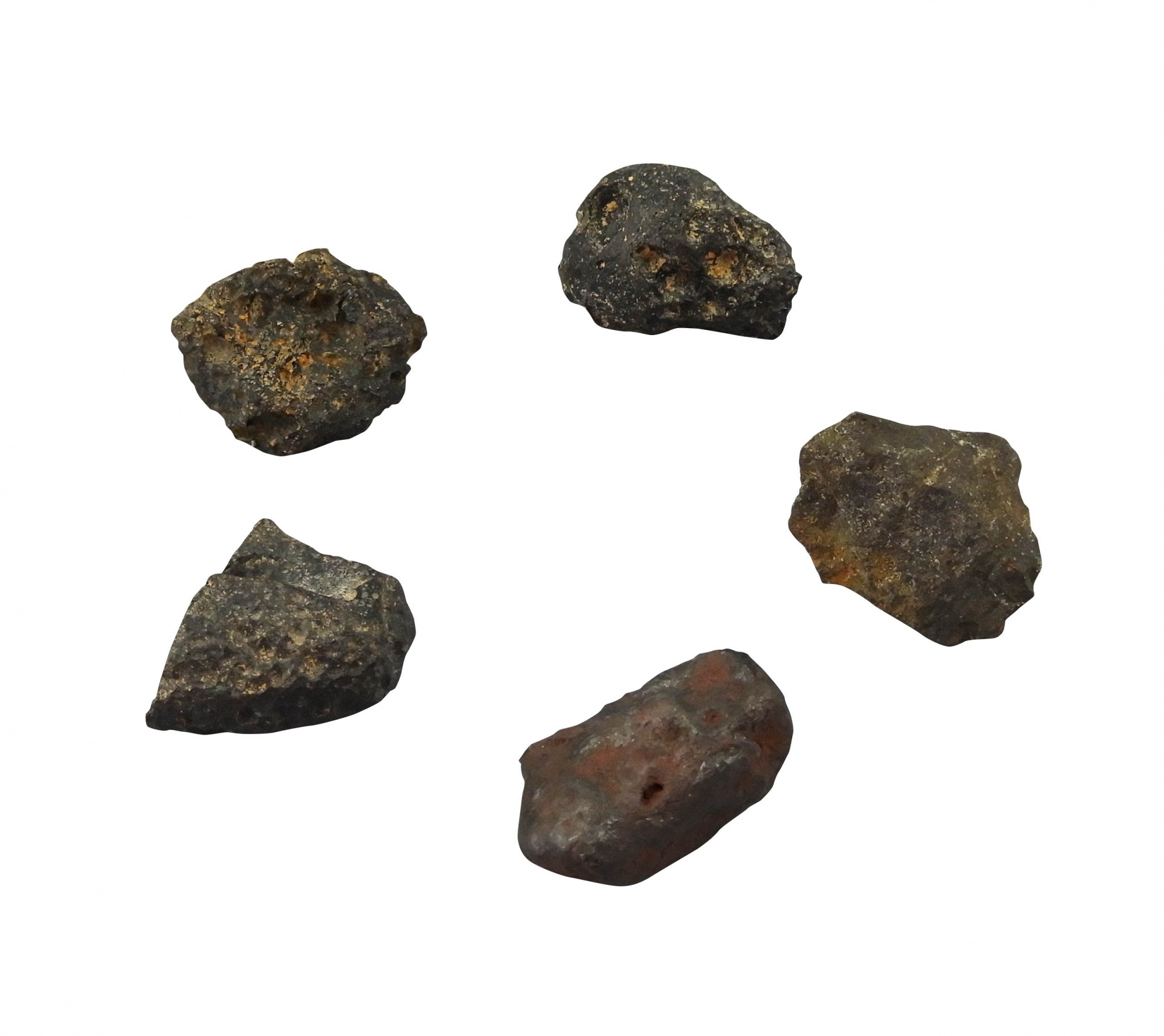 Fünf dunkle, raue Meteoriten im Kreis auf weißem Hintergrund.