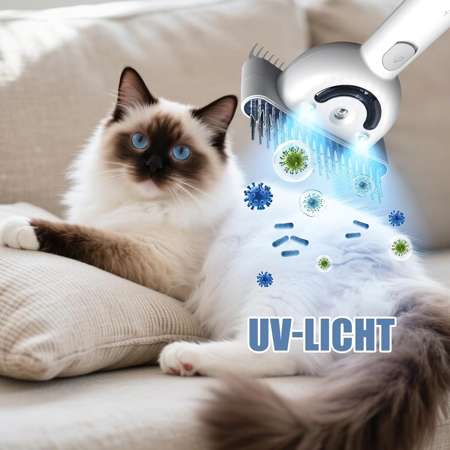 Eine Katze wird mit einer UV-Licht-Bürste auf einem Sofa gebürstet.