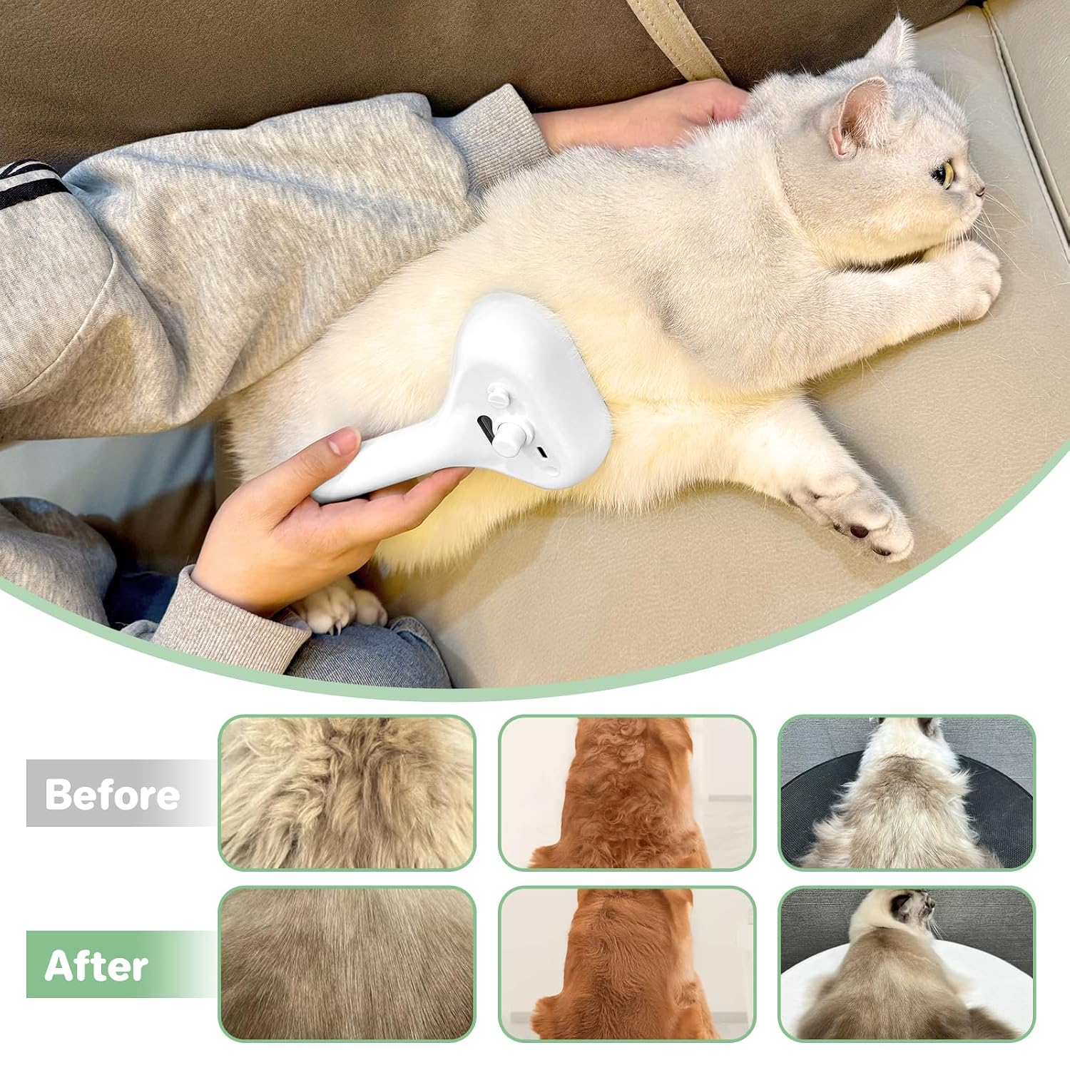 Eine Hand bürstet eine weiße Katze auf einem Sofa mit einer weißen Haarbürste, mit Before- und After-Vergleichen unten.