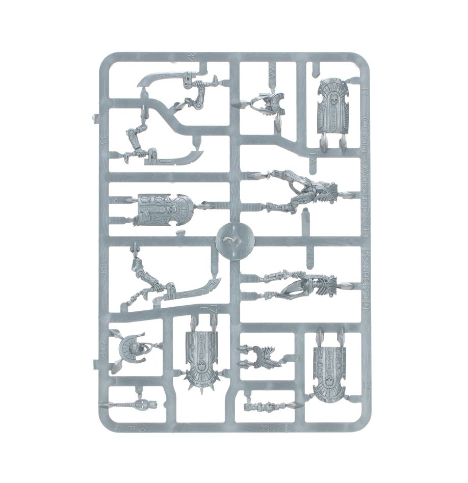 Grauer Kunststoffgussrahmen mit ungeBauchten Warhammer Miniaturenteilen und Schilden auf weißem Grund.