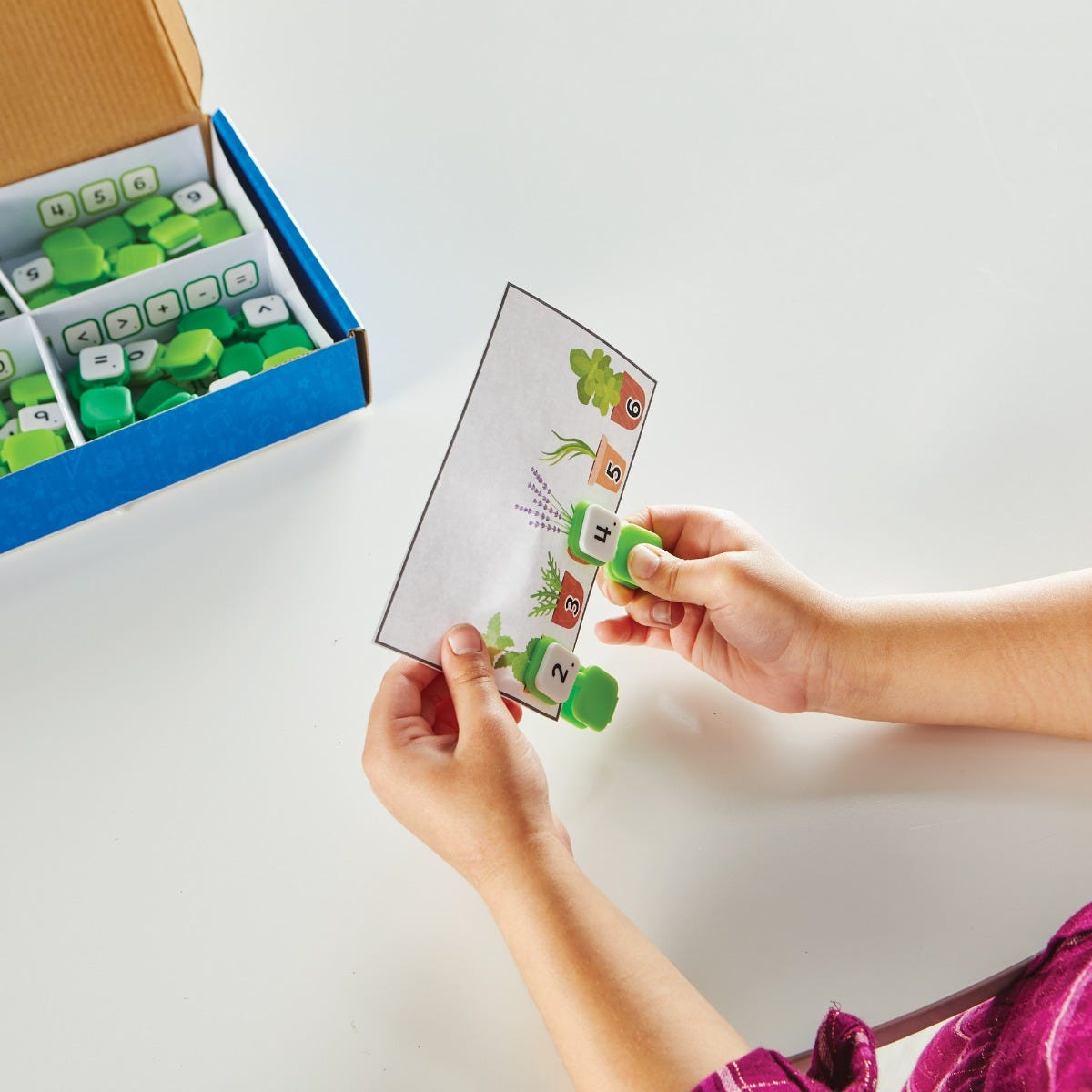 Ein Kind hält eine Karte mit Pflanzen und Zahlen, daneben liegt eine grüne Sortierbox.