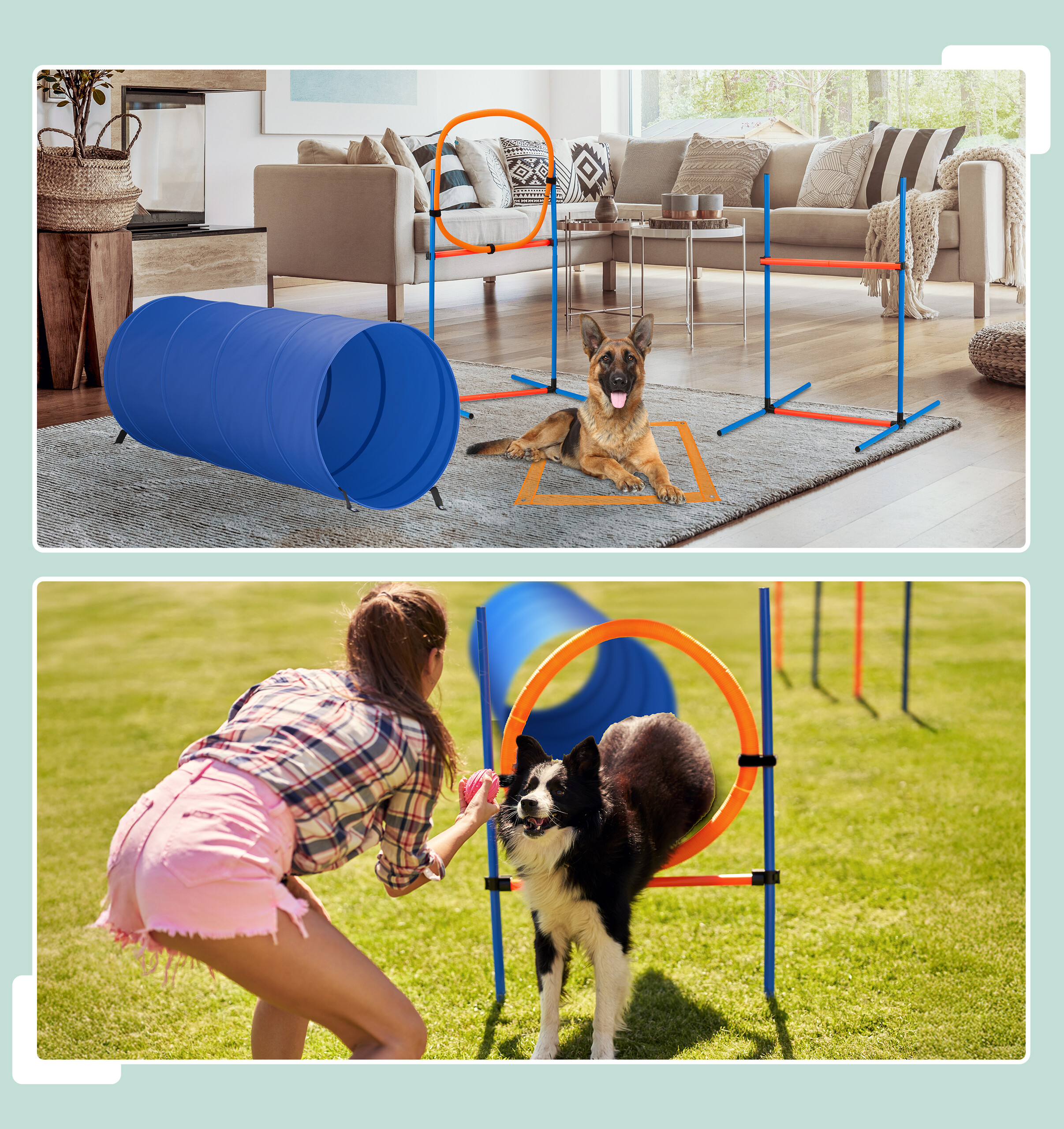 Deutscher Schäferhund auf einem Indoor-Agility-Parcours und ein Hund, der im Freien durch einen Reifen springt.