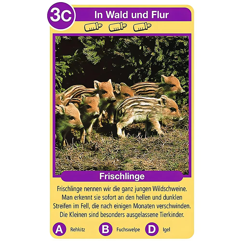 Eine Lernkarte zeigt Wildschweinfrischlinge im Wald mit Text und Multiple-Choice-Fragen.