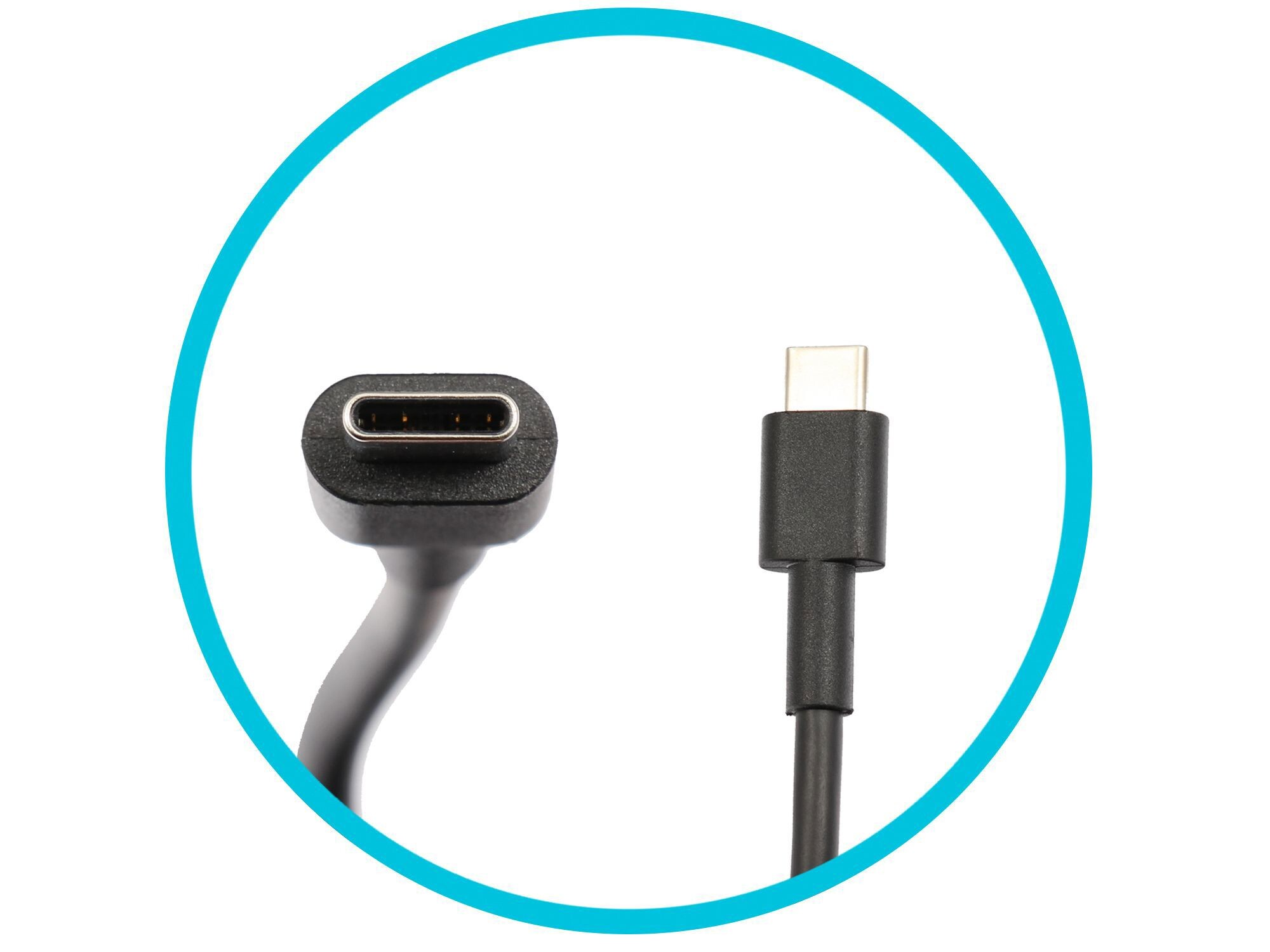 Ein USB-C-Stecker und eine USB-C-Buchse auf weißem Grund innerhalb eines blauen Kreises.