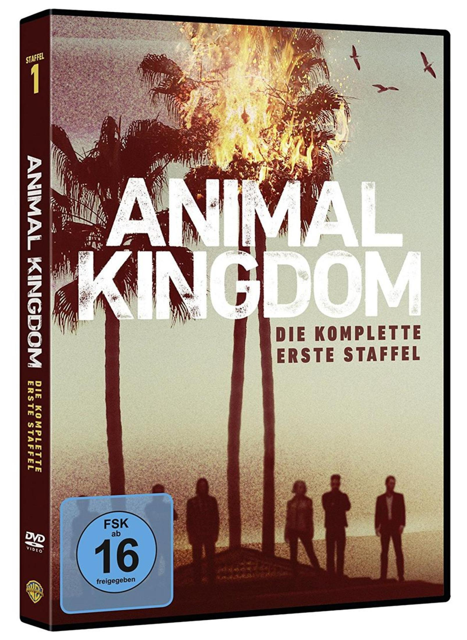 DVD-Hülle von Animal Kingdom Staffel 1 mit brennenden Palmen, Personensilhouetten und FSK-16-Kennzeichnung.