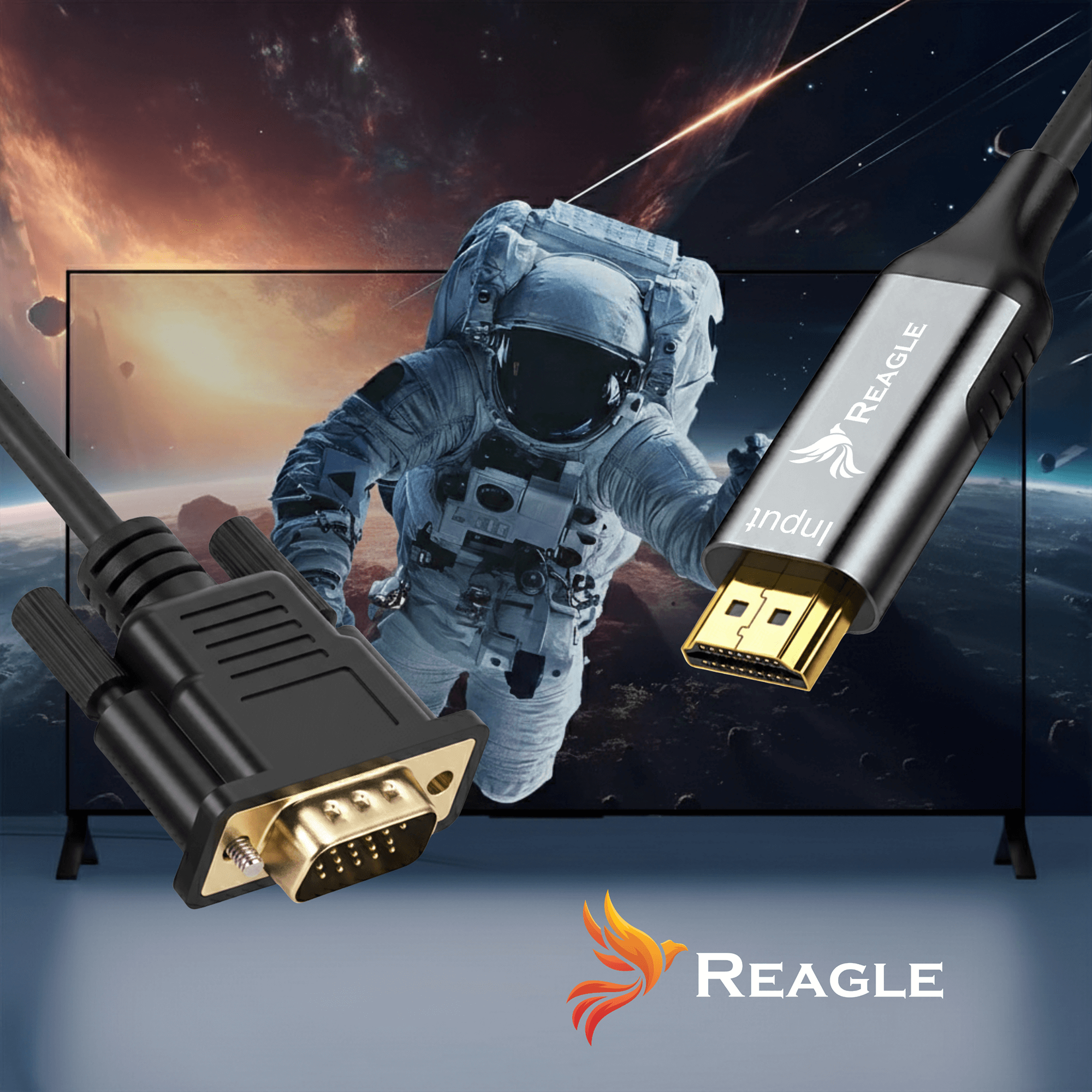 Cavi VGA e HDMI in primo piano con logo Reagle, davanti a una TV che mostra un astronauta nello spazio.