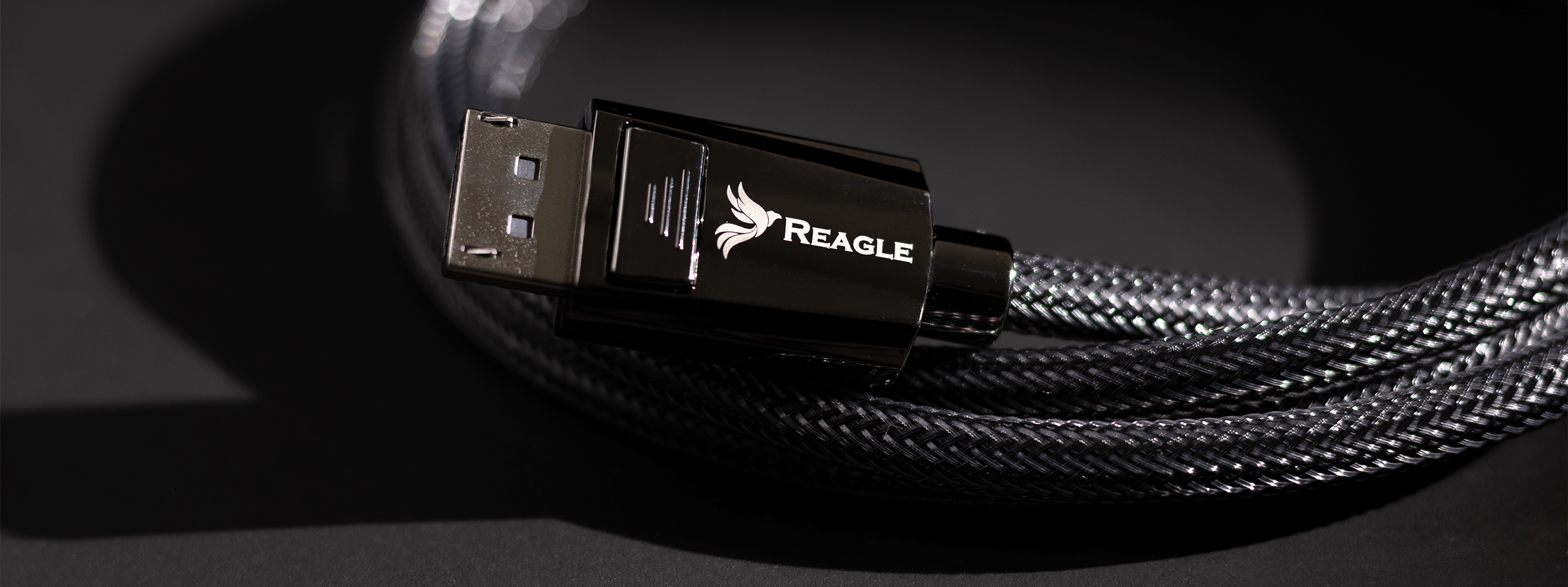 Ein schwarzes DisplayPort-Kabel mit geflochtenem Mantel und Reagle-Logo auf dem Stecker vor dunklem Hintergrund.