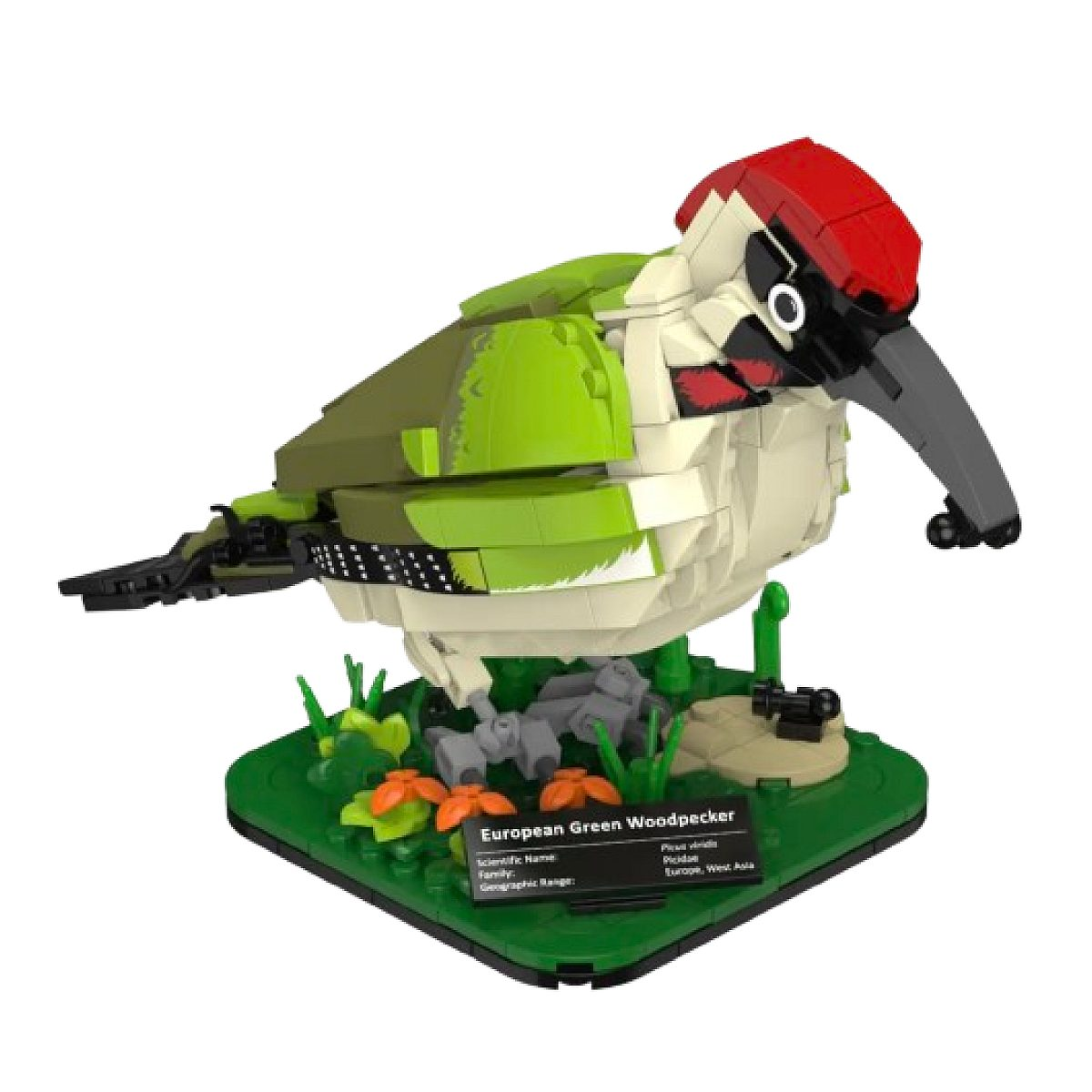 Ein Lego-Modell eines europäischen Grünspechts auf einem grünen Sockel mit Pflanzen und einem Namensschild.