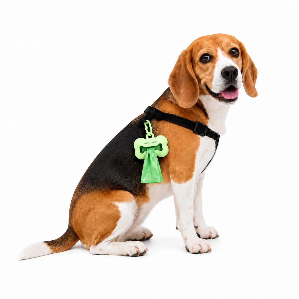 Beyaz arka planda siyah koşum takımı ve yeşil kemik şeklinde poşetlik takılı bir beagle köpek.