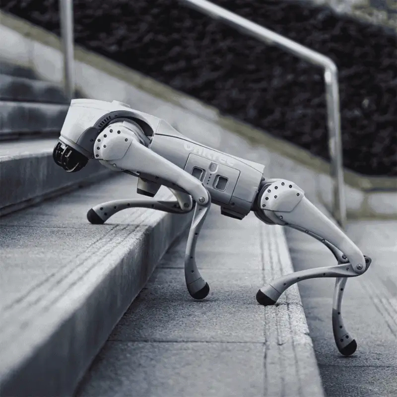 Un cuadrúpedo robótico blanco baja por unas escaleras de piedra al aire libre.