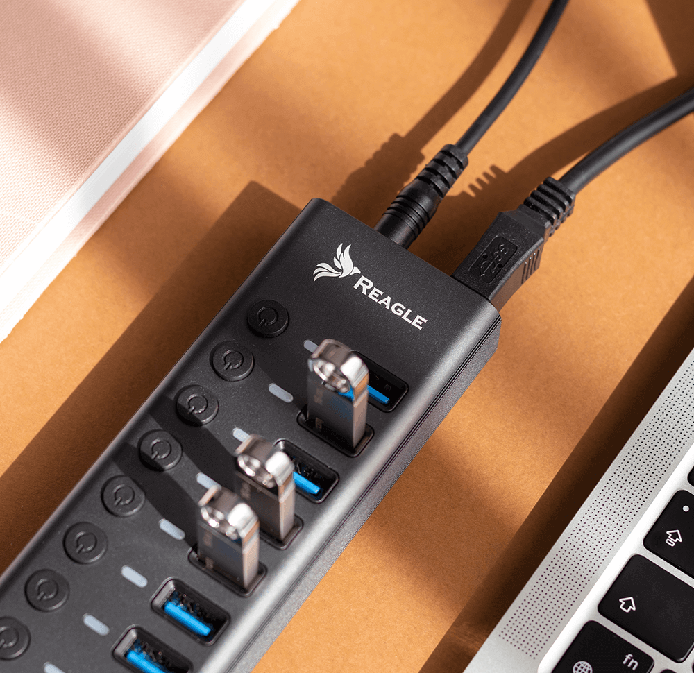 Ein schwarzer Reagle-USB-Hub mit angeschlossenen USB-Sticks und Kabeln liegt auf einer braunen Oberfläche.