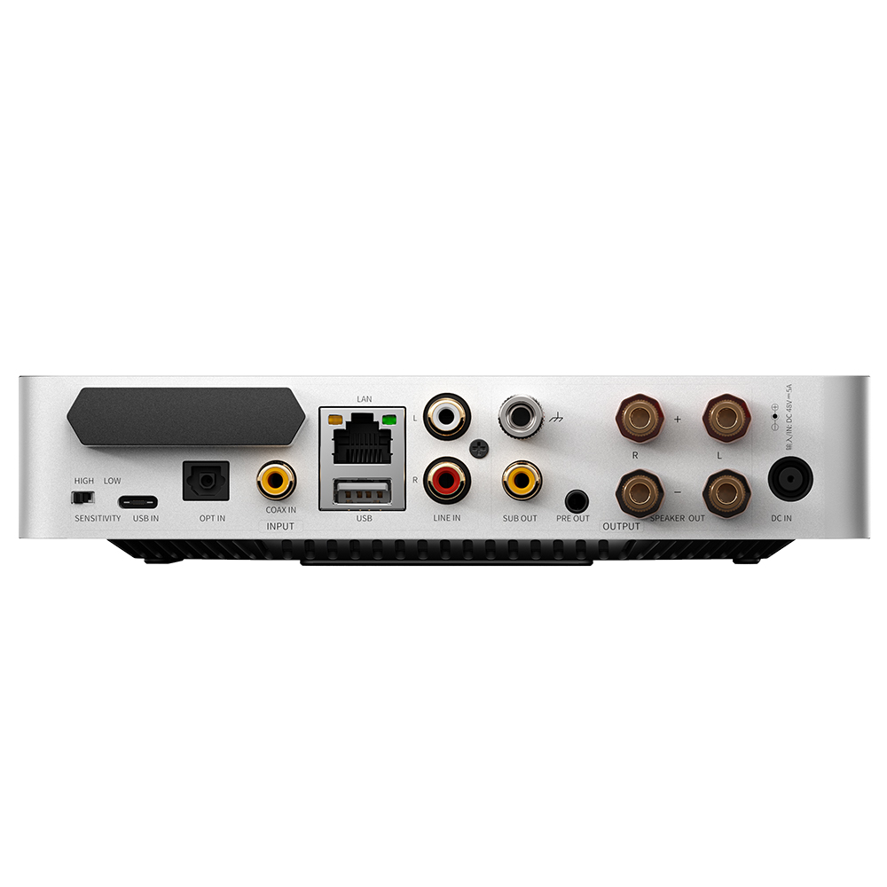 Tylny panel srebrnego urządzenia audio z różnymi portami, takimi jak USB, LAN, wejście liniowe i wyjścia głośnikowe.