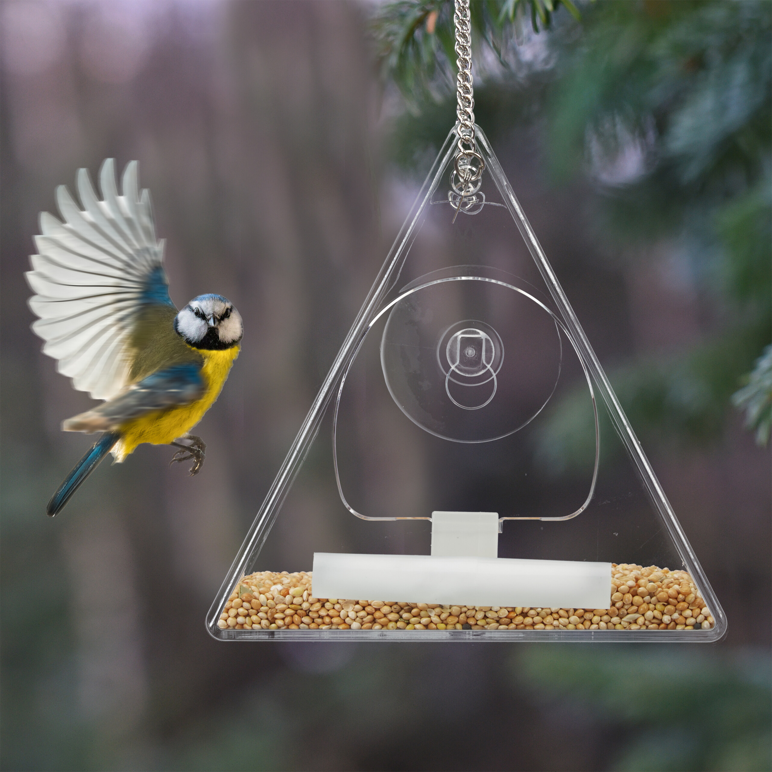 Eine Blaumeise fliegt neben einem klaren Plastik-Vogelhäuschen voller Samen, vor verschwommenem Hintergrund.