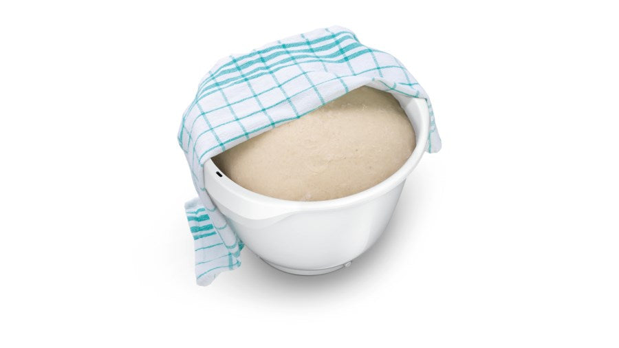 Un bol blanco con masa leudando, cubierto con un paño de cocina a cuadros verdes y blancos.