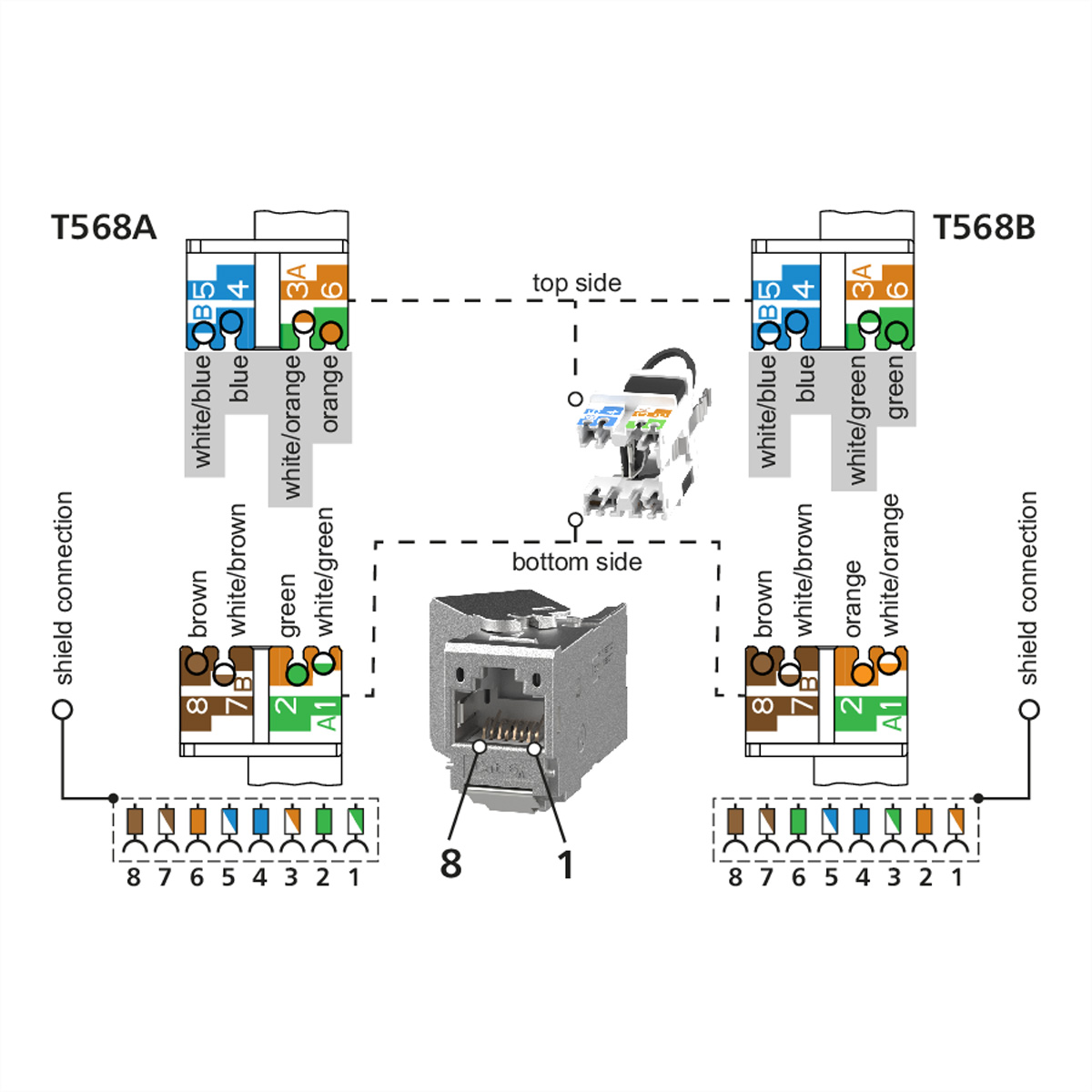 Diagramm zeigt die RJ45-Steckerbelegung für die Standards T568A und T568B mit Farbcodierung.