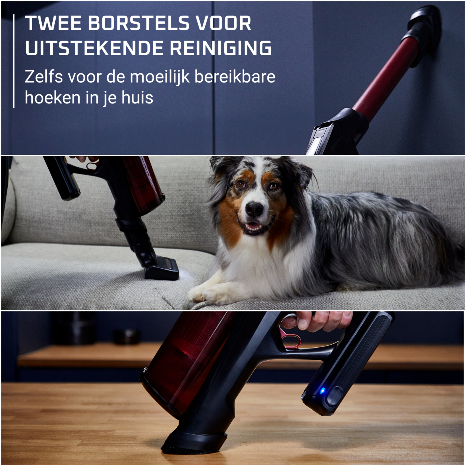 Trois panneaux montrent un aspirateur nettoyant un mur, un canapé près d'un chien et une table en bois.
