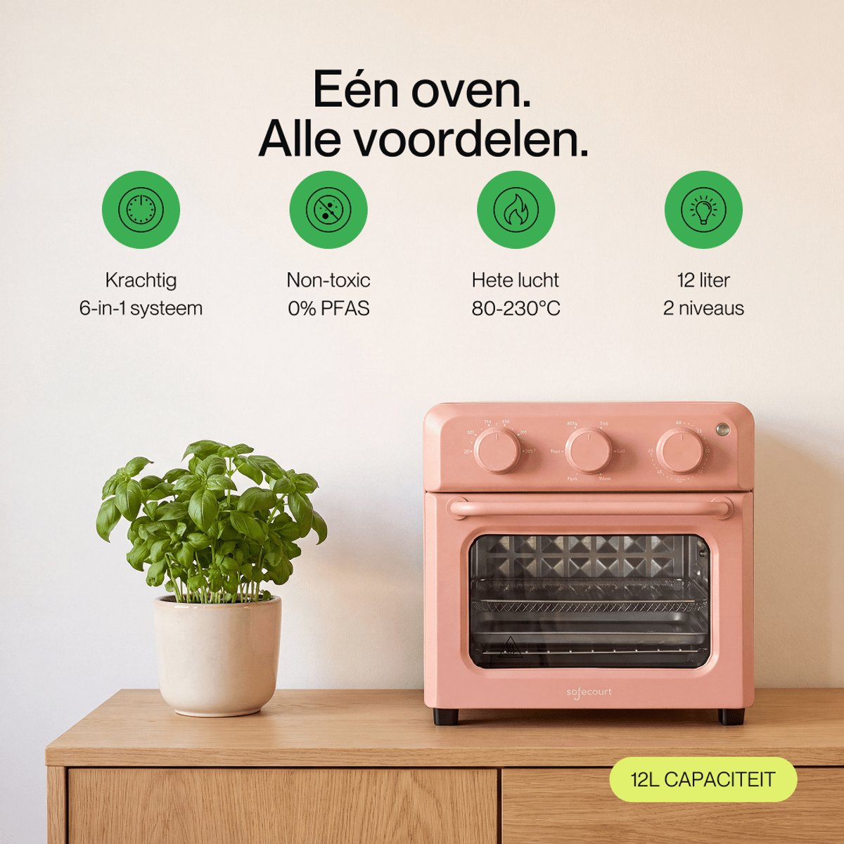 Pink mini oven on a wooden cabinet with green icons above and a potted basil plant.
