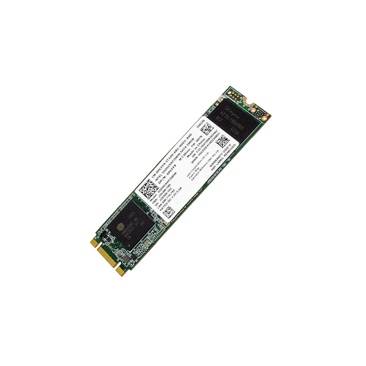 Un SSD SATA M.2 verde con etichetta bianca e pin dorati su sfondo bianco.