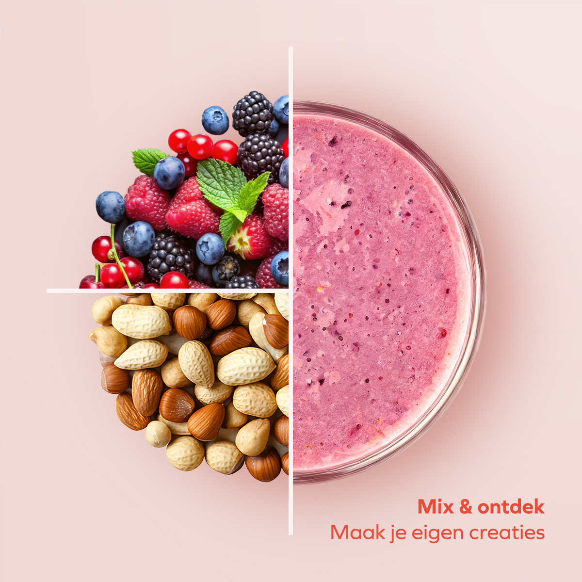 Rosa Smoothie in Schüssel mit frischen Beeren und Nüssen.