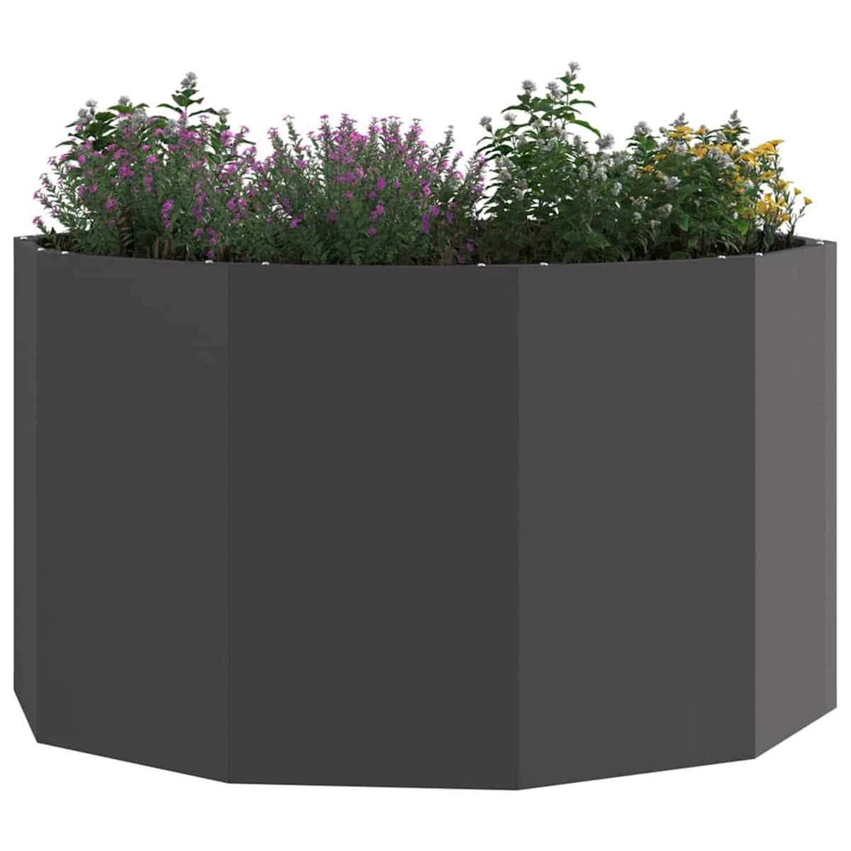 Ein großes, graues, mehreckiges Gartenhochbeet mit verschiedenen grünen Pflanzen und bunten Blüten auf einem weißen Hintergrund.