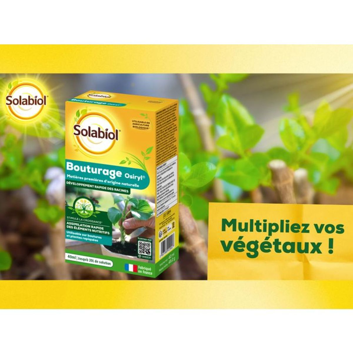 Solabiol Bouturage Osiryl Produktverpackung vor einem unscharfen Hintergrund mit grünen Blättern.